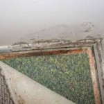 Mold Symptoms